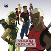 Young Justice, Season 1 - Young Justice