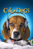 Cats & Dogs - Lawrence Guterman new Single