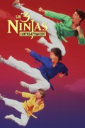 3 Ninjas Contre-Attaquent, Les