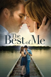 Poster for The Best of Me by Michael Hoffman