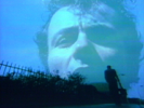 Bearcage - The Stranglers