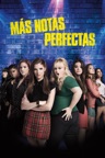 Más notas perfectas