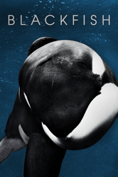 Blackfish - Gabriela Cowperthwaite Cover Art