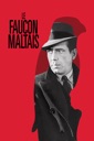 Affiche du film Le Faucon Maltais