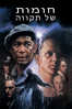 The Shawshank Redemption - Frank Darabont