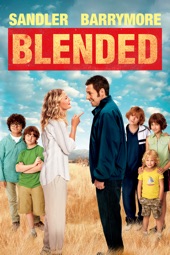 Poster for Blended (2014) by Frank Coraci