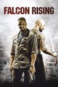 Affiche du film Falcon Rising