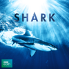 Episode 1 - Shark (UK)
