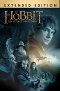 Le Hobbit : Un Voyage Inattendu Version Longue