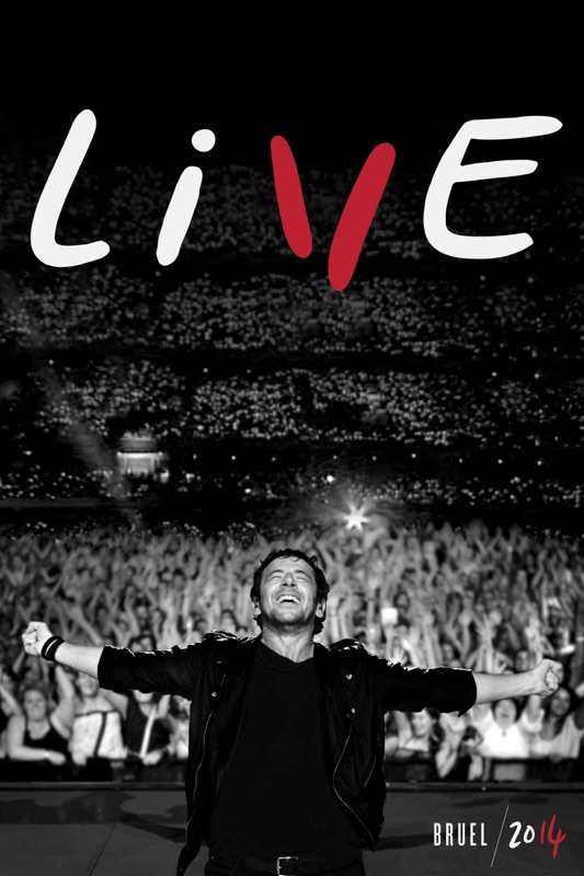Patrick Bruel: Live 2014