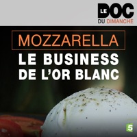 Télécharger Mozzarella, le business de l'or blanc Episode 1