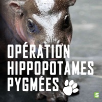 Télécharger Opération hippopotames pygmées Episode 1