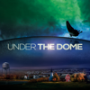 The Enemy Within - Under the Dome
