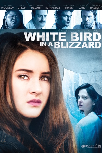 White Bird in a Blizzard Poster