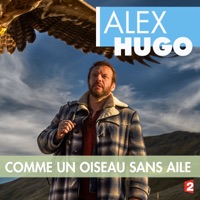 Télécharger Alex Hugo : Comme un oiseau sans ailes Episode 1