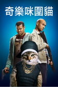 奇樂咪圍貓