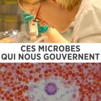 Télécharger Ces microbes qui nous gouvernent Episode 1