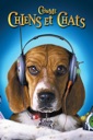 Affiche du film Comme chiens et chats