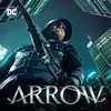SZ Penance Arrow, Saison 5 (VOST)