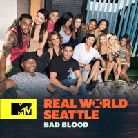 Télécharger The Real World Seattle: Bad Blood Episode 12