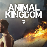 Animal Kingdom - Animal Kingdom, Season 2 artwork