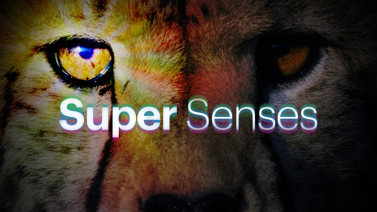 What Are Ron’S Super Senses? _ Science Trek – CNMZ