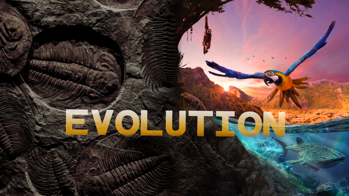 ‎Evolution - Apple TV