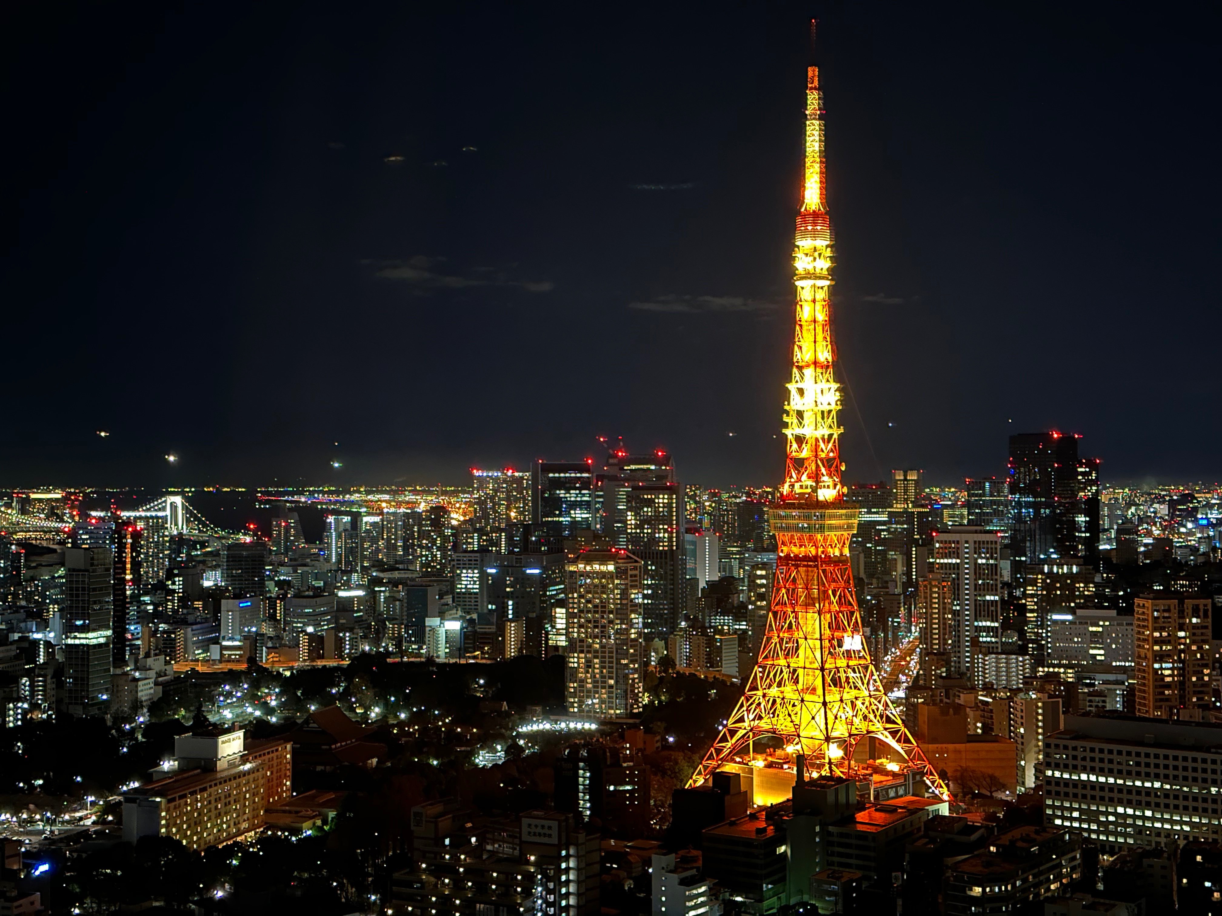 Louis Vuitton City Guide · 24 Hours in Tokyo