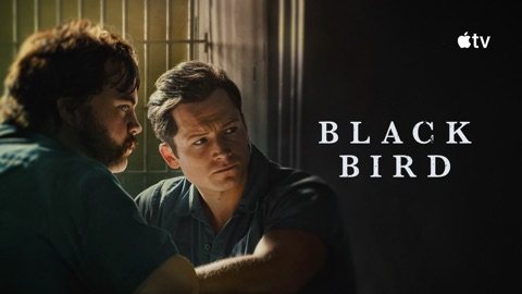 Black Bird