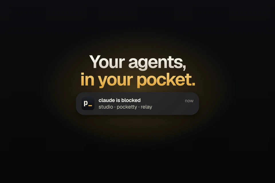 pocketty App Store search result