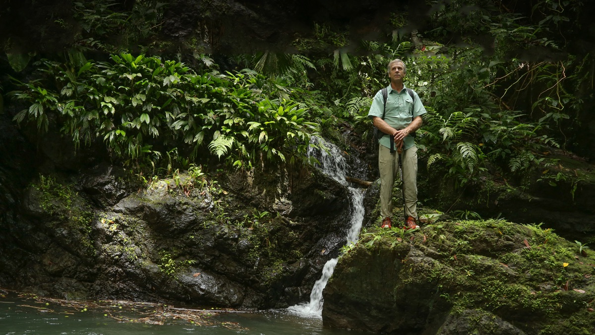 Missing Dial Apple TV (CA)