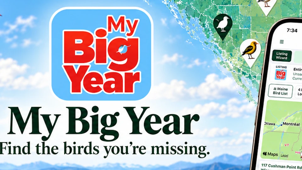 My Big Year App Store product page header