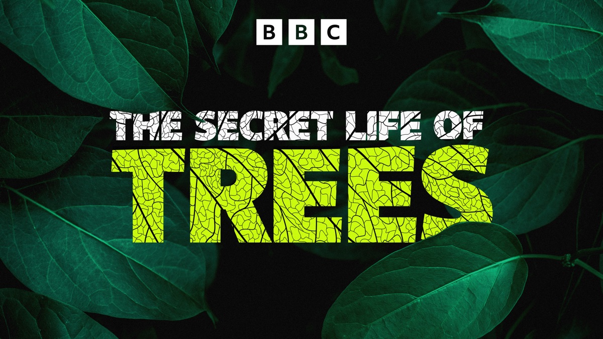 ‎The Secret Life of Trees - Apple TV