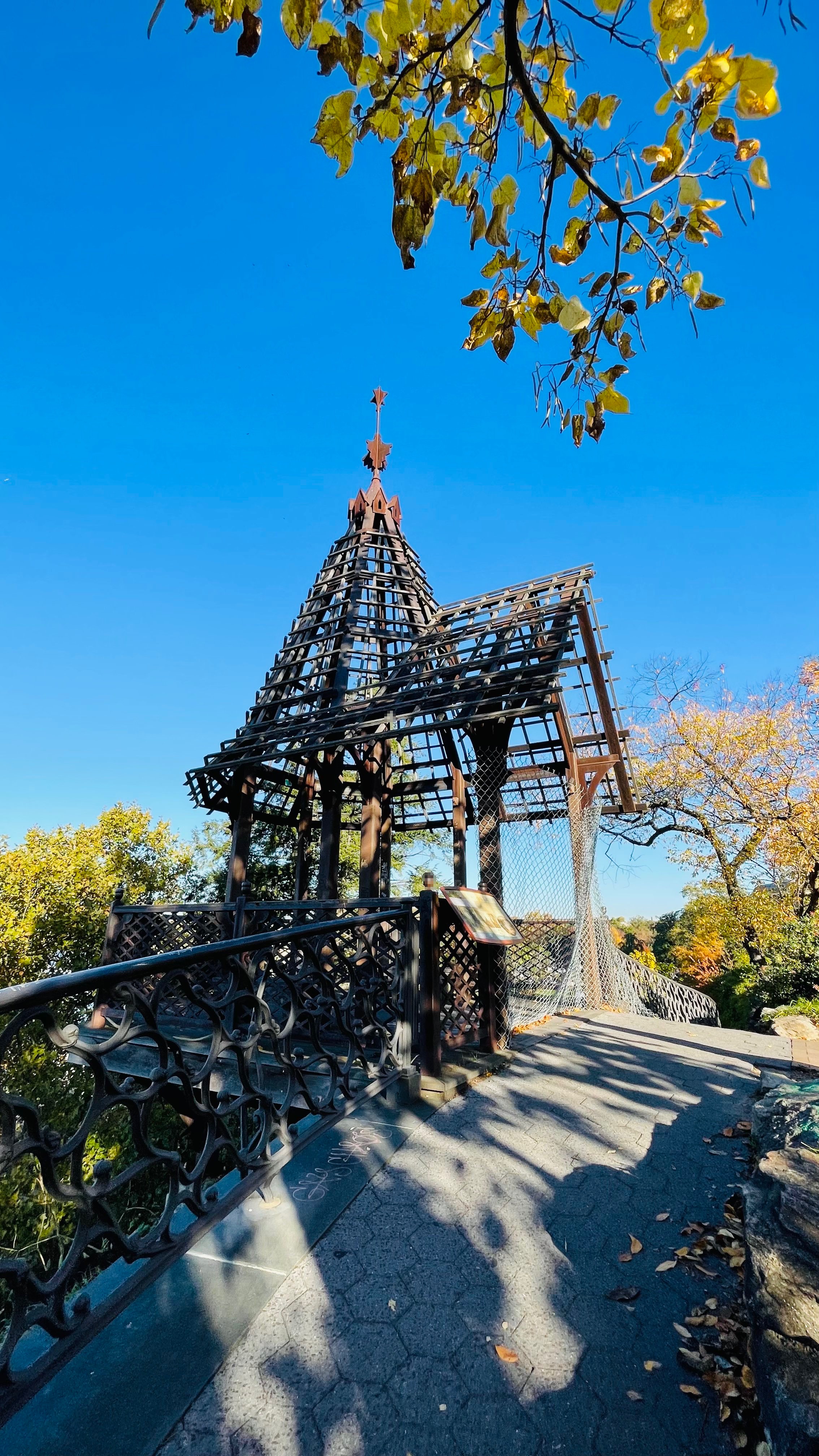 The Treehouse in the Sky