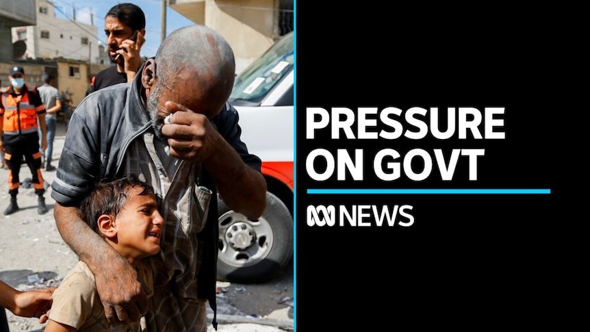 Calls for Govt to help alleviate humanitarian disaster in Gaza - ABC ...