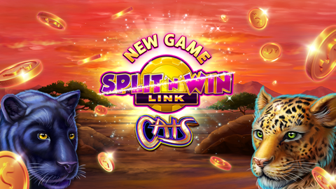 Read more about Meet Our New IGT Slot Machine