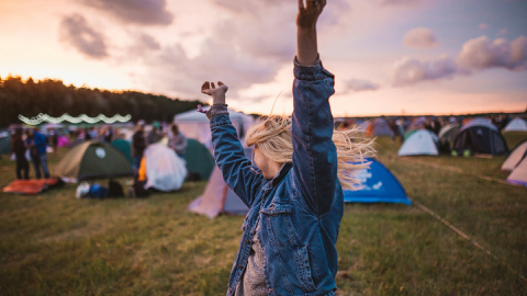Read more about Bonnaroo Music & Arts Festival