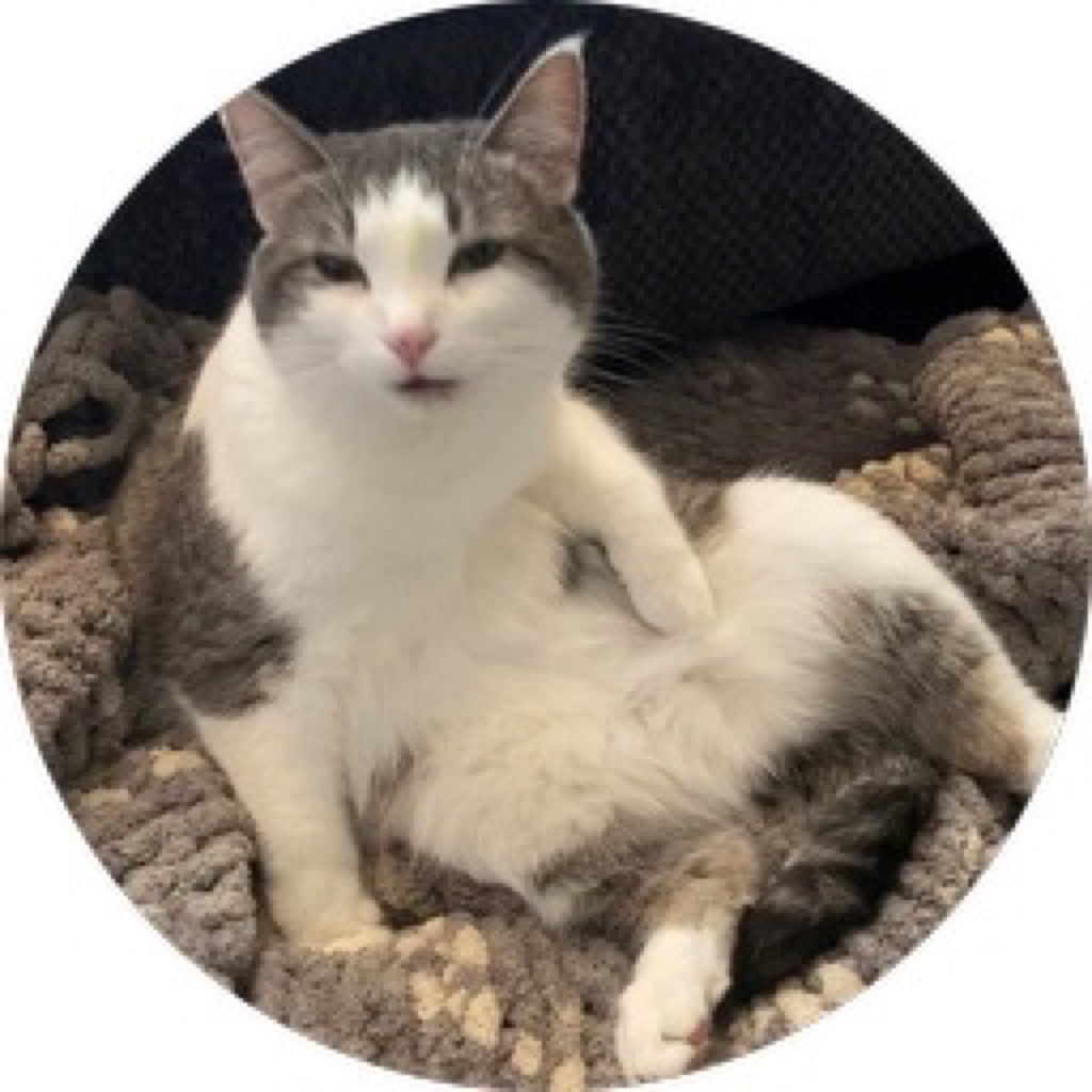 AppleMusic profile picture for @truffles