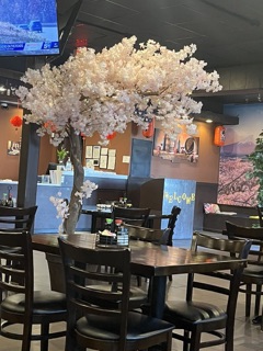 Yamato Hibachi Grill & Sushi
