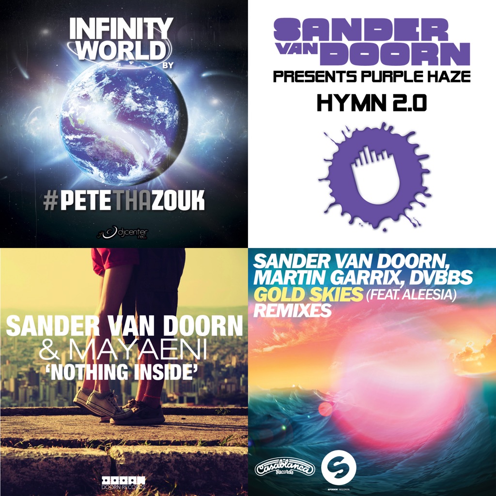 Sander van Doorn: главное