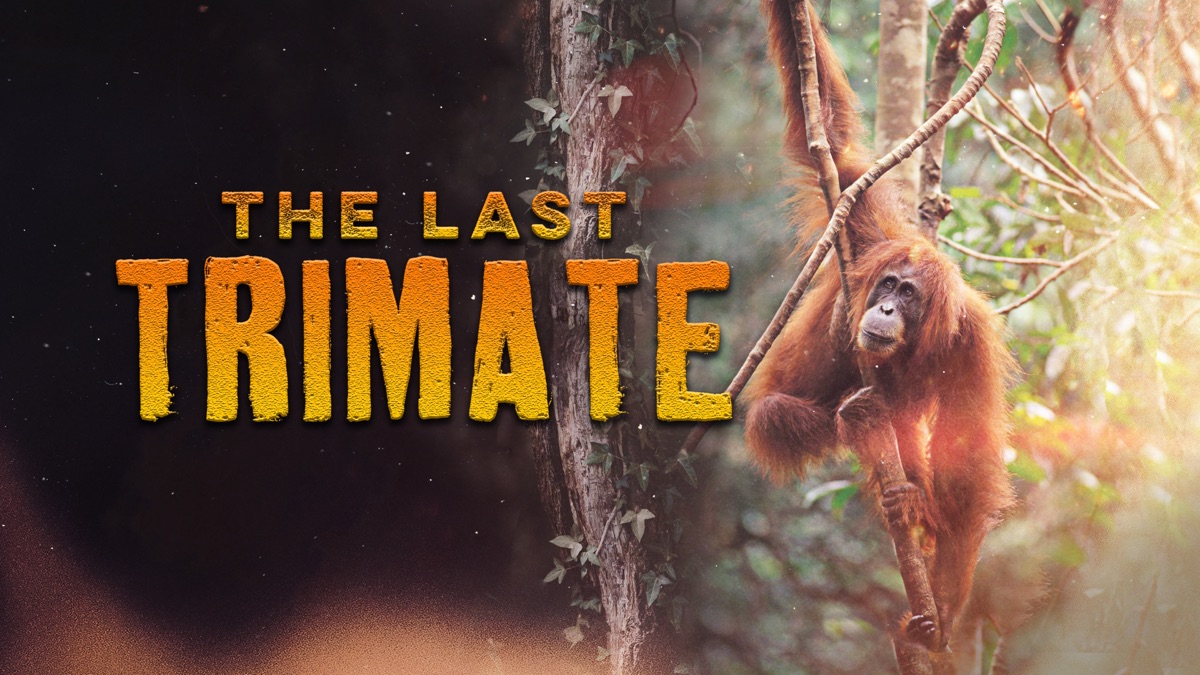 ‎The Last Trimate - Apple TV