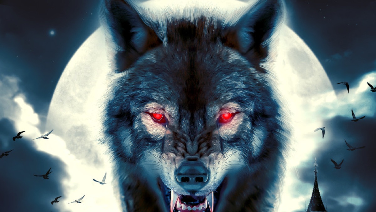 ‎Lord of Wolves - Apple TV
