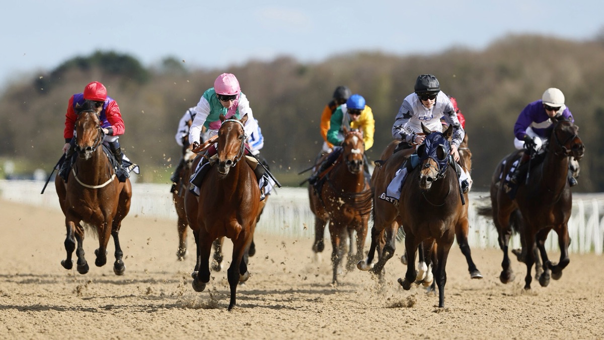 Live from Newcastle and Lingfield - ITV Racing - Apple TV (UK)