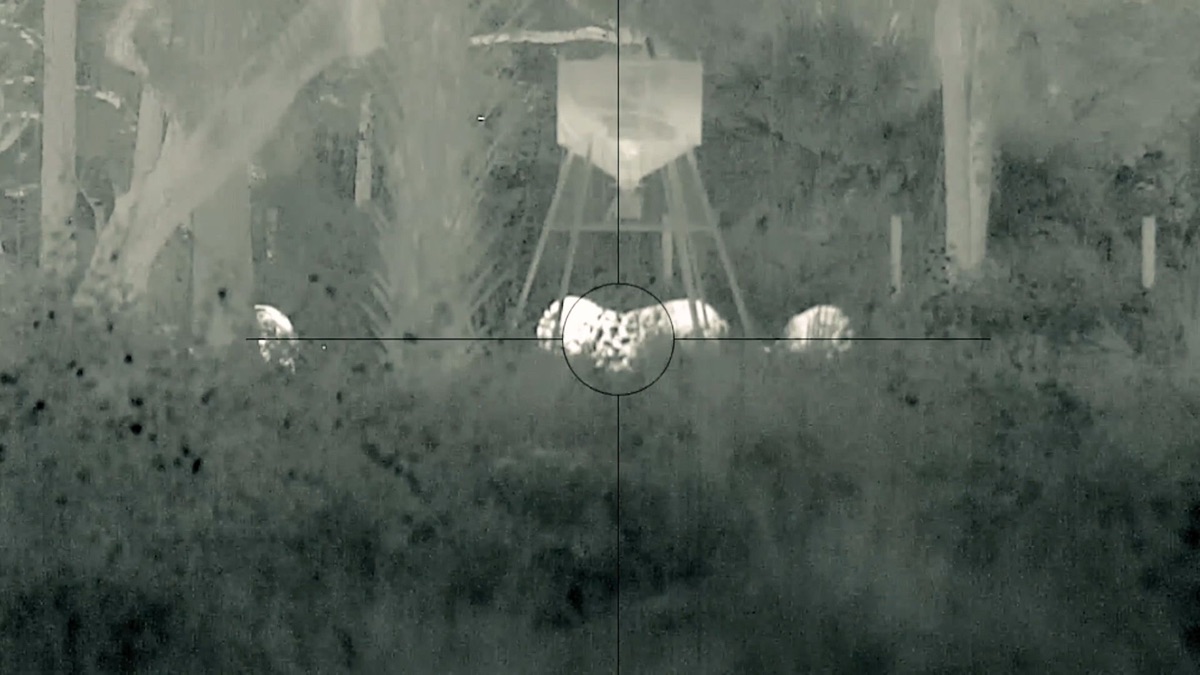 ‎Florida, Part Three – Predator Pursuit (Season 14, Episode 4) - Apple ...