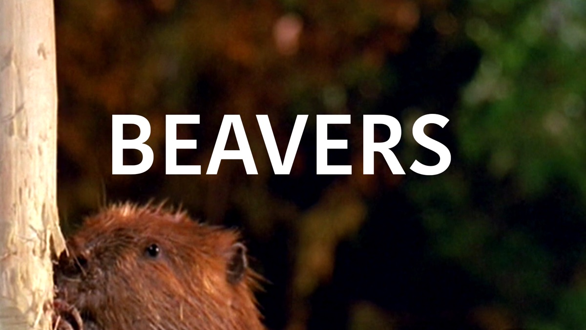 ‎Beavers - Apple TV