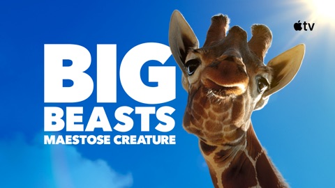 Big Beasts - Maestose creature