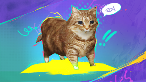 Read more about Playpal Meow!