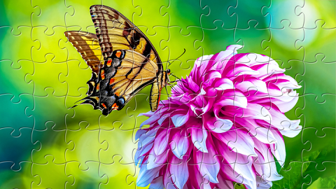 Read more about Flying Colors