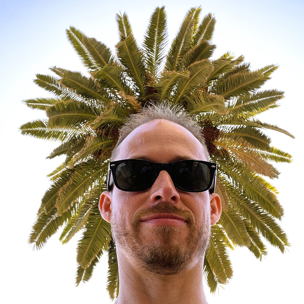 AppleMusic profile picture for @kingo