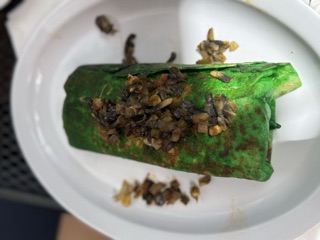 El Pueblito de Frida Montrose, Houston